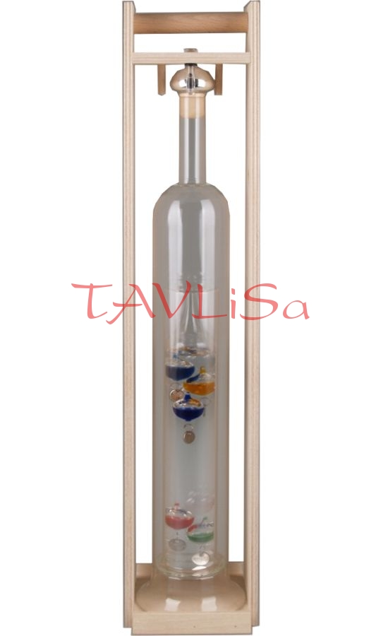 Láhev Galileo 0,35l barevná plněno švestka 40%